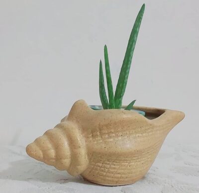 Ceramic Designer Pot