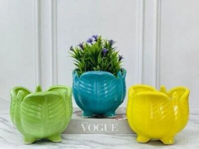 Designer Showpiece